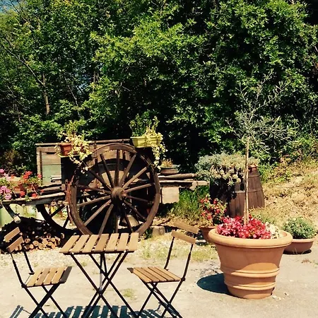 Il Giardino Degli Ulivi