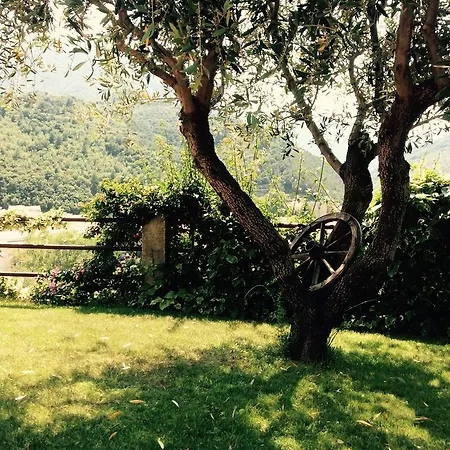 Il Giardino Degli Ulivi Сasa de vacaciones *